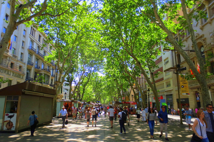 The main street of Barcelona- La Rambla is just few minutes away