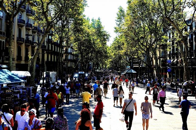 The center of the city, Las Ramblas is few blocks away, you can reach it by metro, or walking by the beautiful beach of Barceloneta.