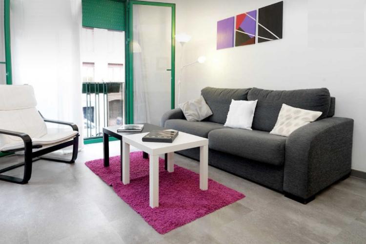 Living room with all amenities (Sofa bed, DVD, Flat TV, internet WIFI)