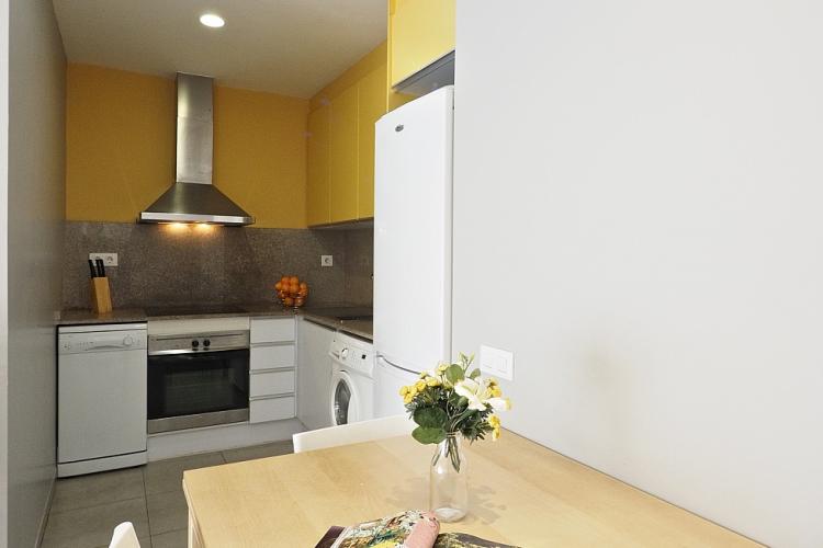 The kitchen as well as the rest of the apartment, was recently equipped and renovated