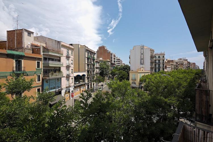 The view to the neighbourhood