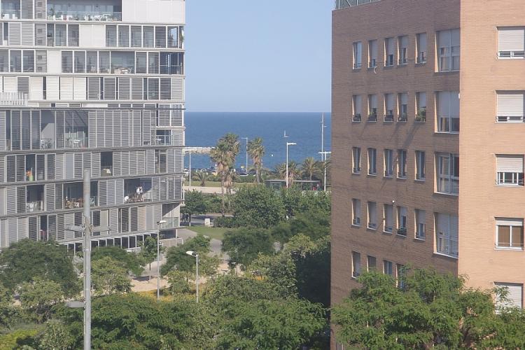 Vista desde la habitación