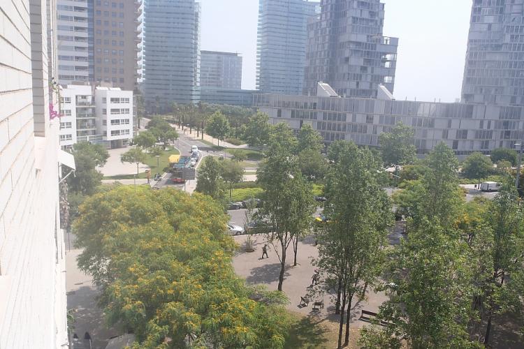 Vistas desde la habitación