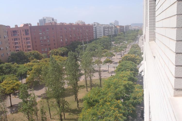 Vistas desde la habitación