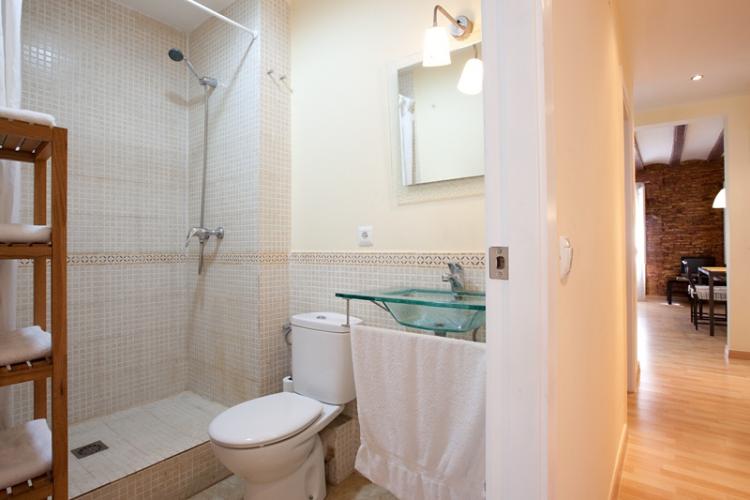 Bathroom with its large shower